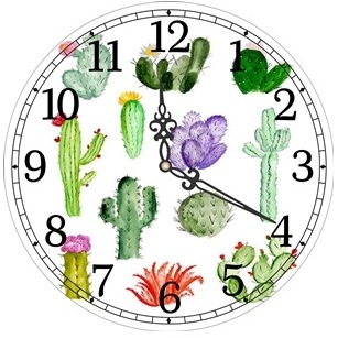 N5 RELOJ CACTUS 49CM